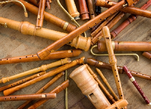 Brisk fluiten door Taco Anema(1)